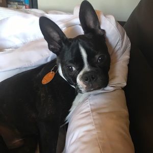 Meet your Posher, Sarah